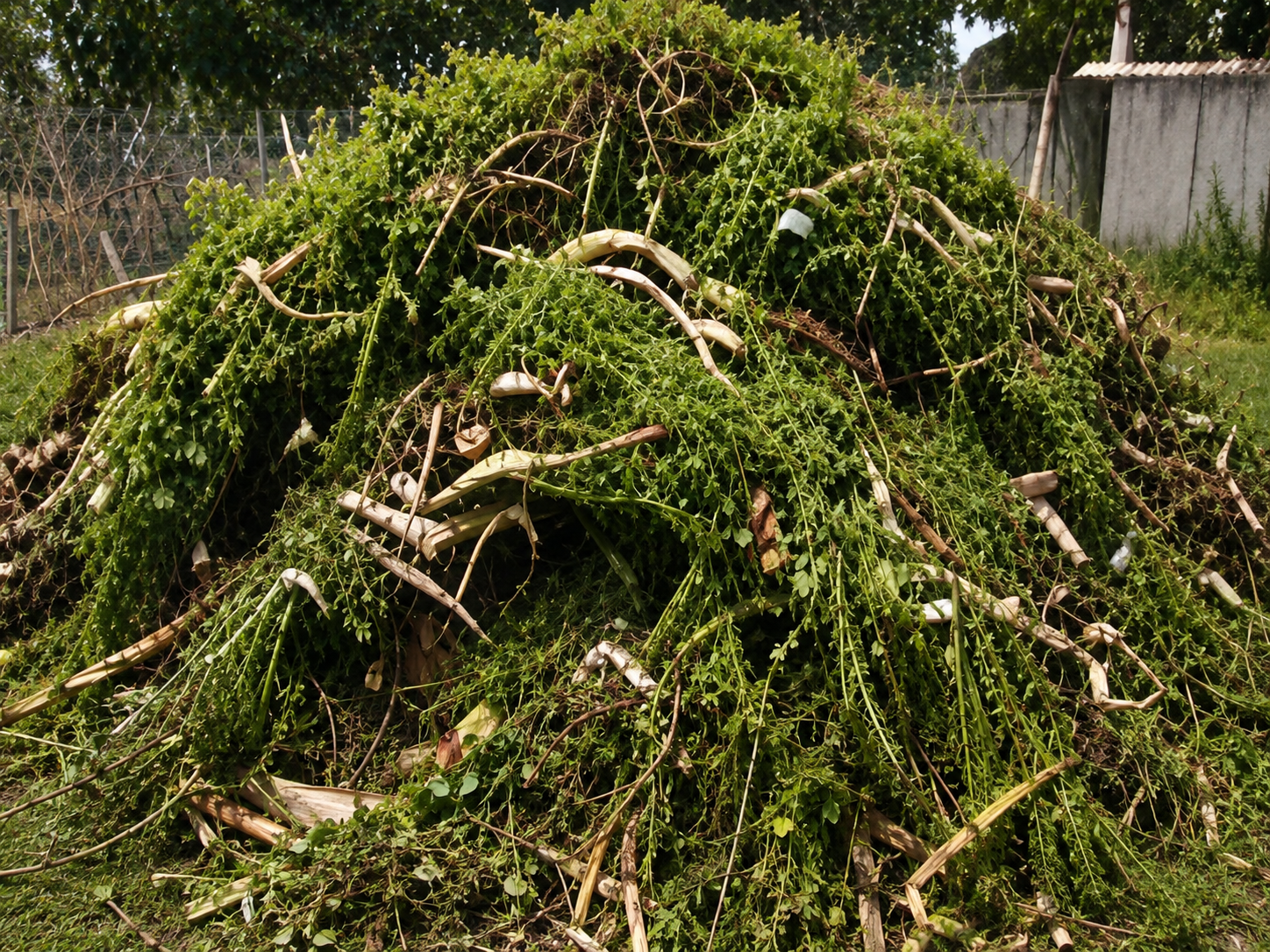 Garden Waste Removal service in Cape Town